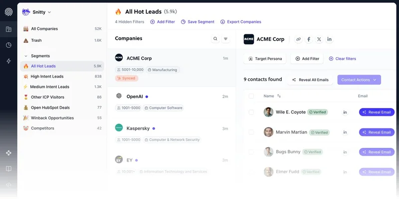 Snitcher - Uncover your hidden website visitors - GoHighLevel integration preview
